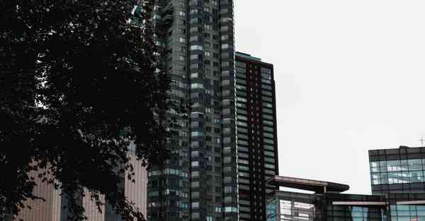 佛跳墙永不封所2.7.